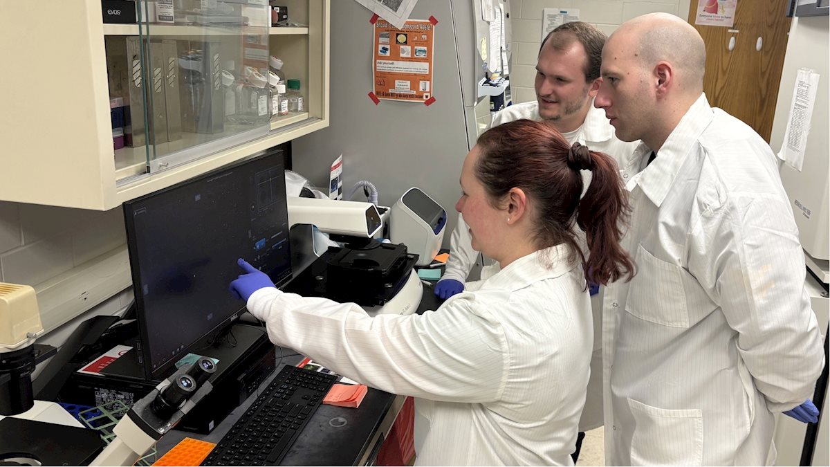 West Virginia University students, from left, Heather Hansen, Donald Dariano and Hayden Hess, assist with a study in Bradley Webb’s lab to determine how cells use glucose to fuel different needs. (WVU photo)
